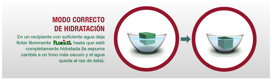 Modo Correcto de Hidratación