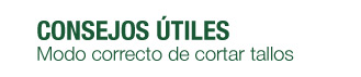 Consejos ütiles